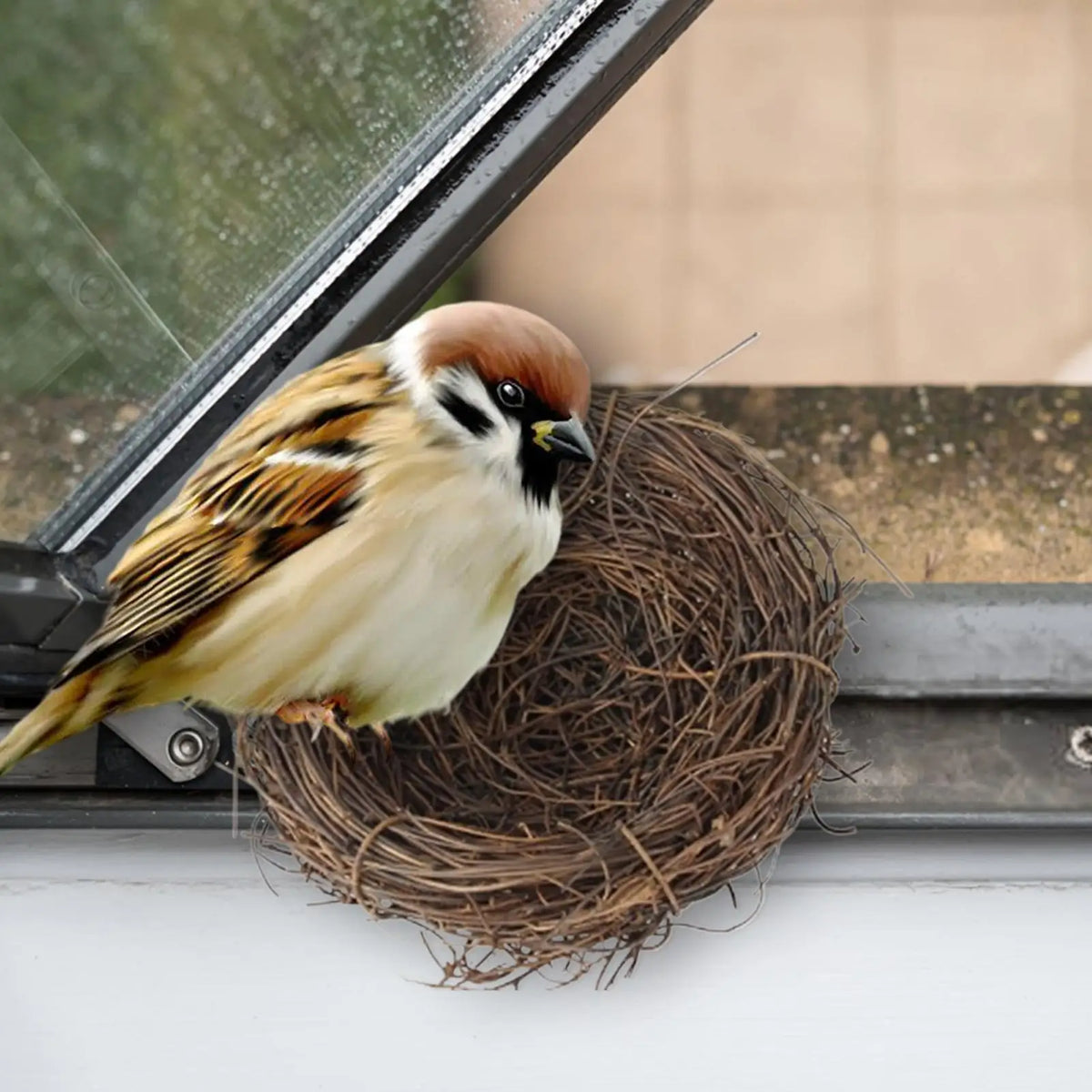10cm Flat Base Bird Nest Handmade Woven Hatch House for Cage Small Animal Bed Accessories for Parakeet Canary Finch Lovebird Vue
