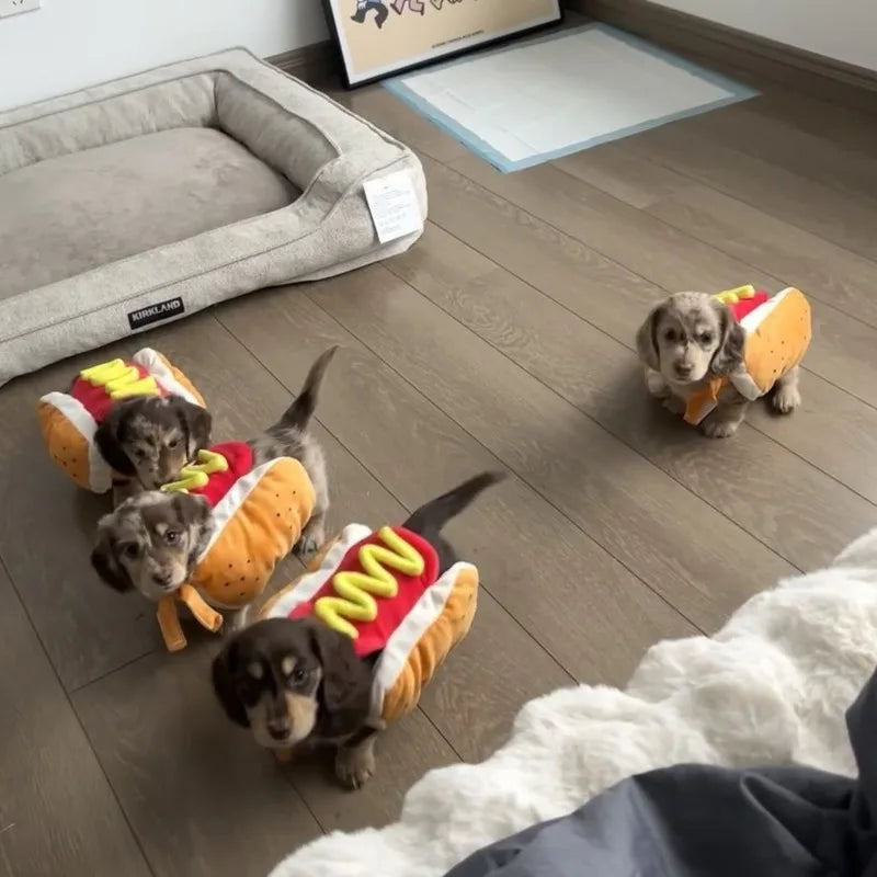 Hot Dog Plush Dog Costume Funny Pet Clothes For Small Medium Corgi Dachshund Cute Halloween Party Birthday Photo Prop Gift Vue