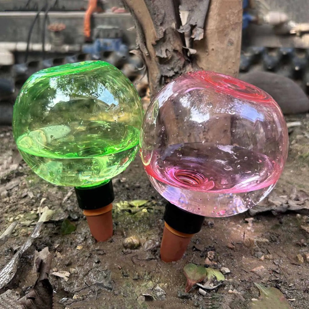 Automatic Self-Watering Globes 500ml Drip Irrigation – 1–4 Pack Self-Watering Globe Vue