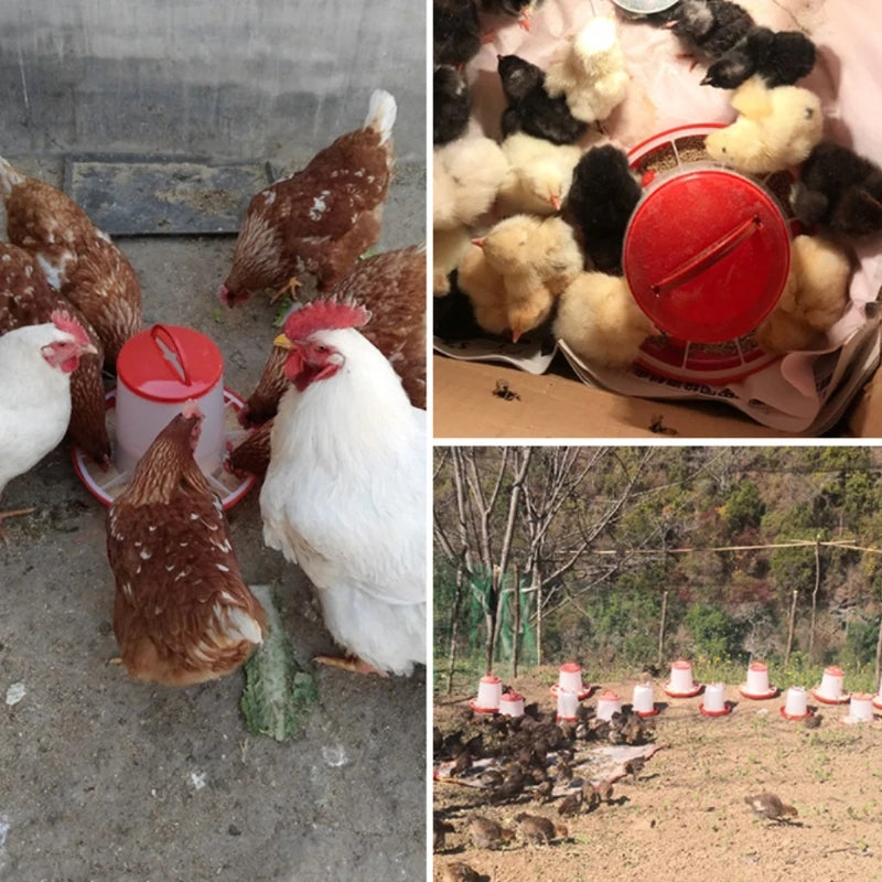 Automatic Poultry Feeder & Waterer Set with Leg Support Poultry Feeder & Waterer Vue