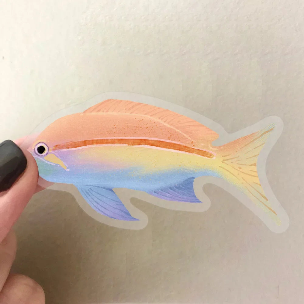 50-1000PCS Cartoon Waterproof Fish Transparent Stickers Art DIY Laptop Decal Cartoon Phone Graffiti Sticker Skateboard Luggage Vue