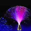 Holiday Atmosphere Lights LED Fiber Optic Lights Lanterns Starry Sky Wedding Party Christmas Decoration Home Furnishing Vue RGB