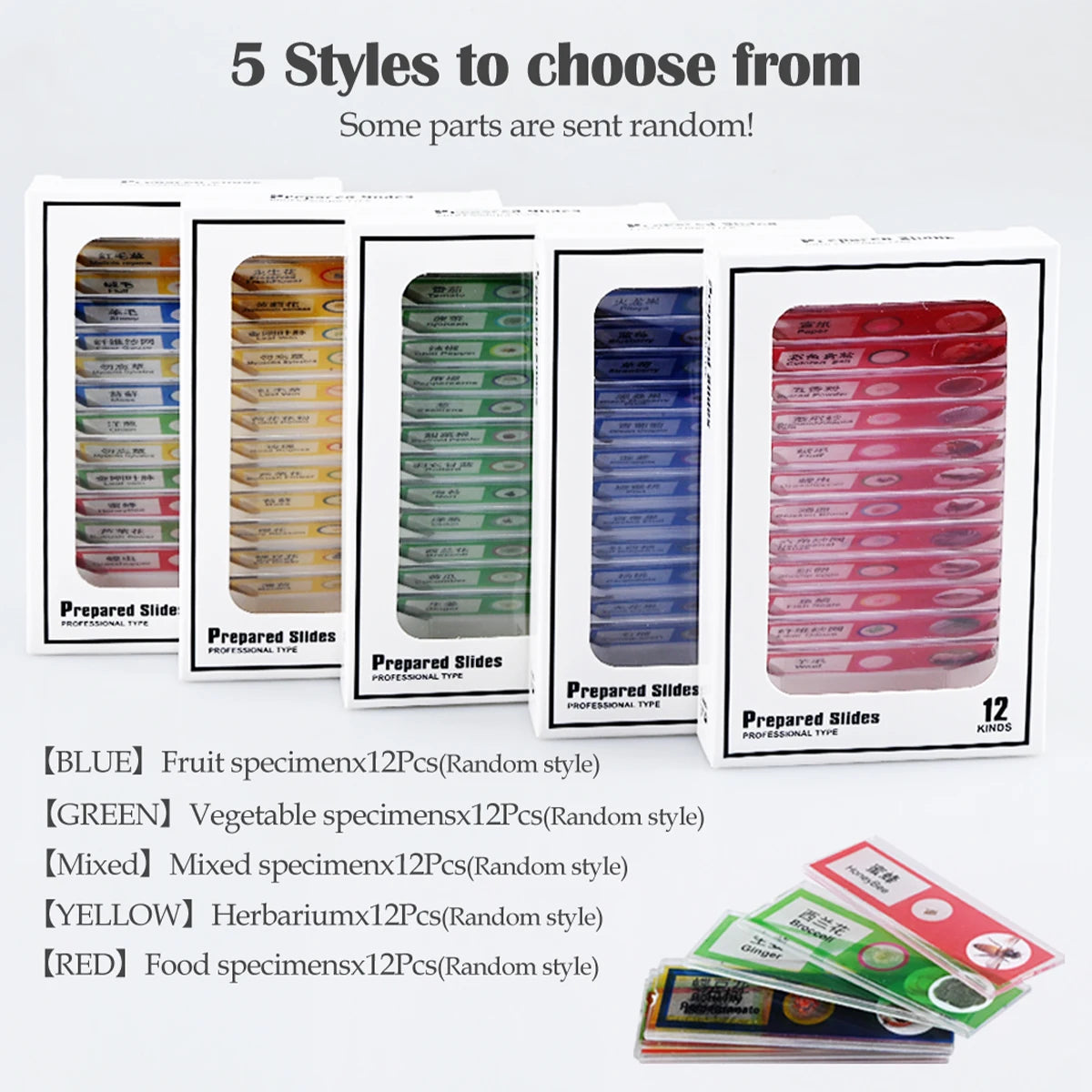 12Pcs Microscope Slides Toys, Plastic Biological Prepared Slide with Specimens Science Education for Kids Vue