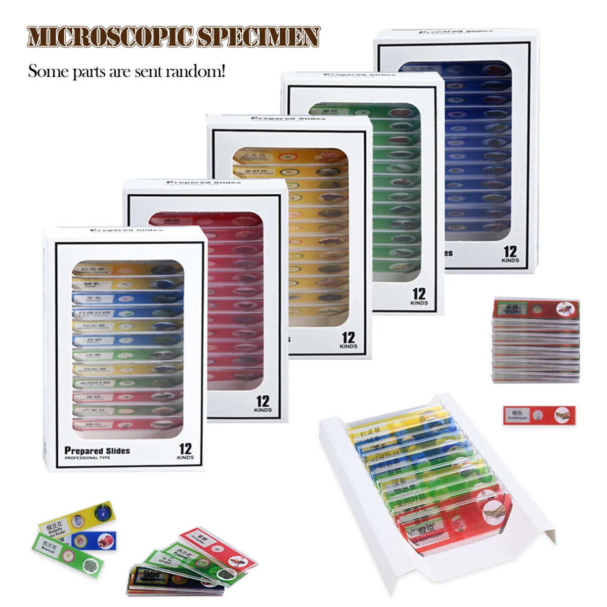 12Pcs Microscope Slides Toys, Plastic Biological Prepared Slide with Specimens Science Education for Kids Vue