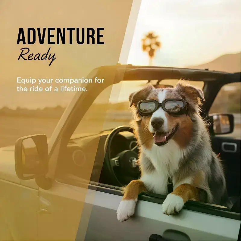 Multicolour Pet Goggles Adjustable Windproof Rope Dog Motorcycle Glasses Pet Photo Props Summer UV Protection Pet Headwear Vue