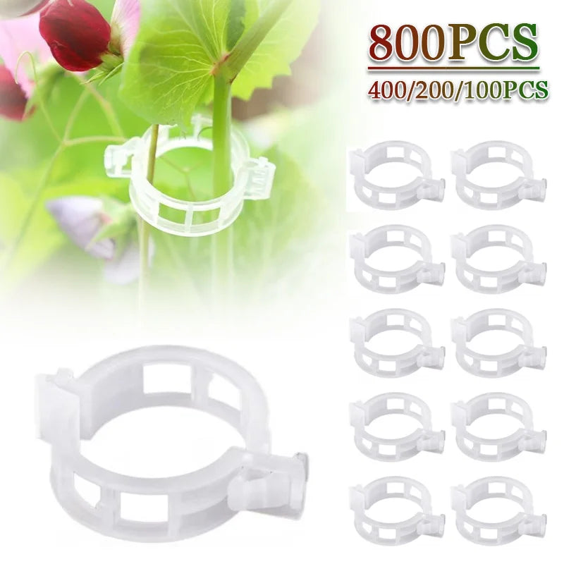 100-800PCS Plastic Plant Clips Support Connects Reusable Protection Grafting Fixing Tool Gardening Supplies for Vegetable Tomato Vue