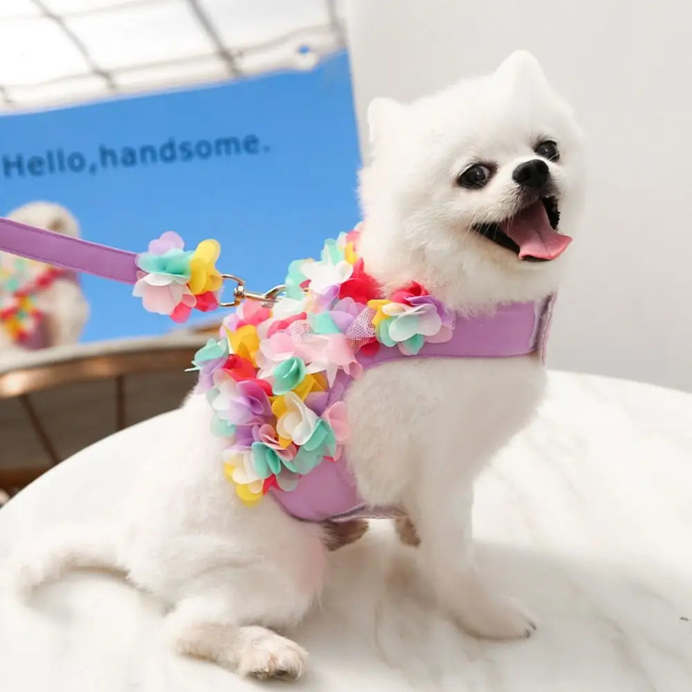 Kawaii Dog Harness Leash Set Adjustable Floral Design Pet Vest Style Harness With Leash Lace Dress Pet Chest Strap Training Use Vue