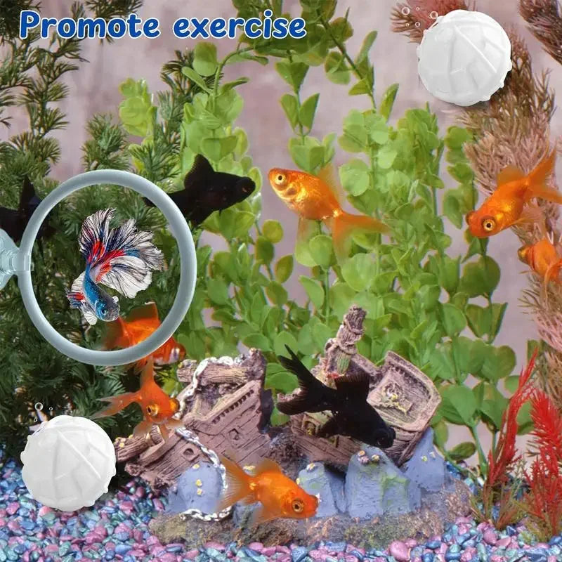 Aquarium Betta Turtles Exercise Toys 2pcs Betta Training Ring With Suction Cup and 3pcs Filter Ball Set Fish Tank Decoration Vue