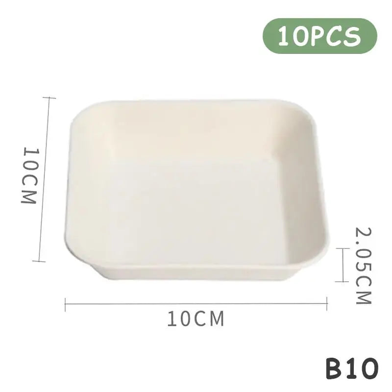 10 White Compostable Dessert Plates Snack Made Sugarcane Waste Vue B10