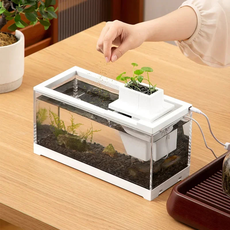Dreamburgh Desktop Mini Aquarium Tank with LED Light & Filter Desktop Aquarium Vue