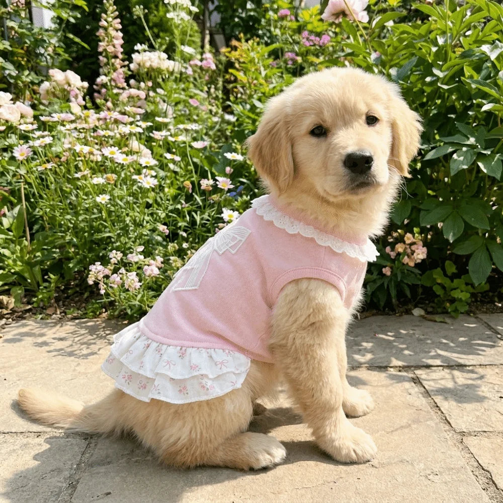 Thin Pet Princess Dress Lotus Leaf Edge Floral Pattern Dog Cooling Vest Comfortable Breathable Puppy Lace Skirt Casual Wear Vue