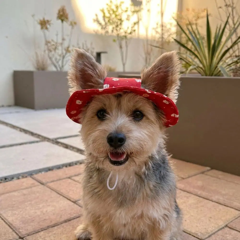 Adjustable Dog Fisherman Hat Breathable Cartoon Print Cat Bucket Hat UV Protection with Ear Hole Cat Sunscreen Hat Puppy Vue