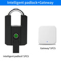 IP67 TTLock Smart Padlock Bluetooth APP Fingerprint Lock Keyless Bag Pad Lock G2 Gateway Aleax Google Home Electronic Door Lock Vue 916-TT-G2