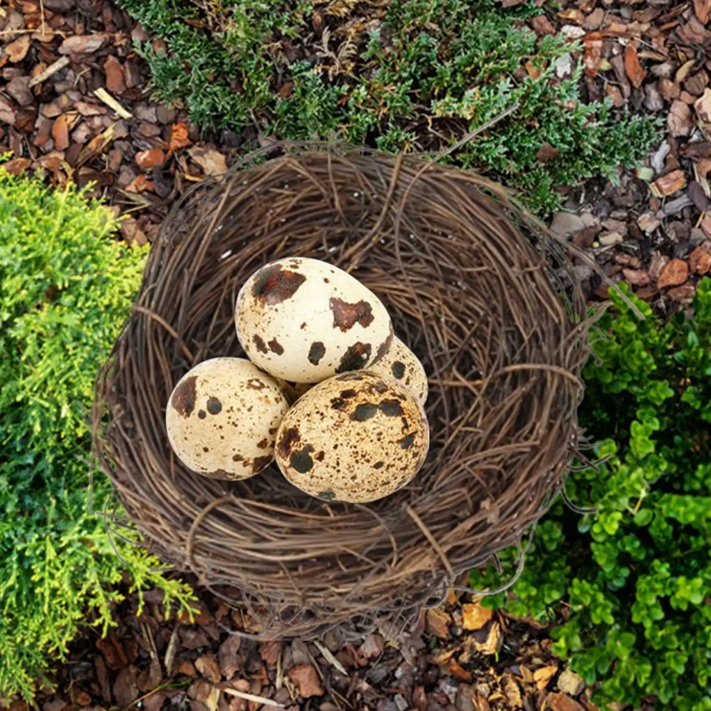10cm Flat Base Bird Nest Handmade Woven Hatch House for Cage Small Animal Bed Accessories for Parakeet Canary Finch Lovebird Vue