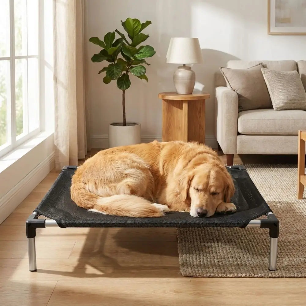 Breathable Mesh Elevated Dog Bed Waterproof Moisture-Proof Pet Cat Cot Non-Slip Chew Proof Cat Hammock Outdoor Indoor Use Vue
