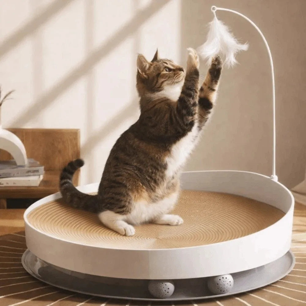 Wear Resistant Cat Scratch Board Stable Round Cat Scratching Bed with Bell Balls with Feather Cats Scratching Post Indoor Play Vue