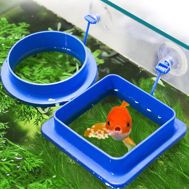 1pc Fish Feeding Supplies Plastic Buoyancy Circle Fish Tank Floating Food Tray Square/Round Aquarium Fish Food Feeding Ring Vue