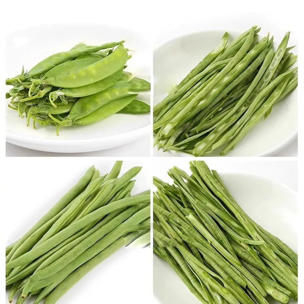 9.5X4cm Green Bean Frencher Multi-Functional Rustproof Long Bean Shredder for Slicing Cutting Vegetables Carrots Potatoes Vue