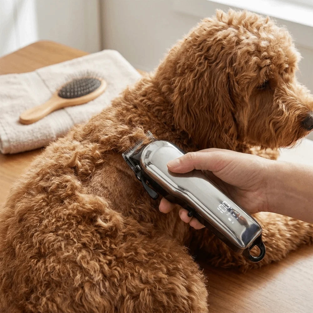 Rechargeable Electric Dog Hair Clipper Low Noise Long Battery Life Pet Hair Trimmer Detachable Professional Cat Grooming Shaver Vue