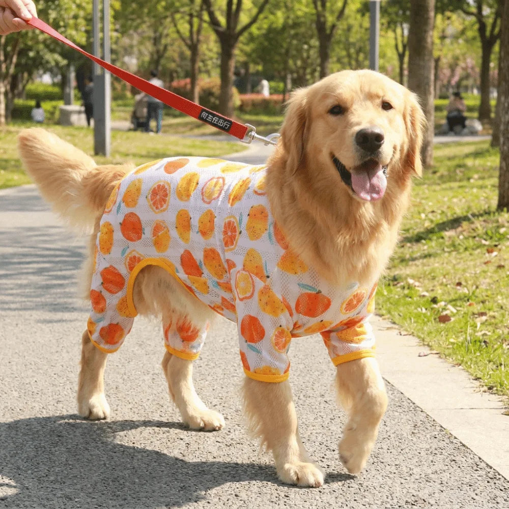 Cute Thin Breathable Pet Cooling Jumpsuit Mesh Fruit Pattern Pet Four Legged Clothes Comfortable Dog Sunscreen Clothing Outdoor Vue