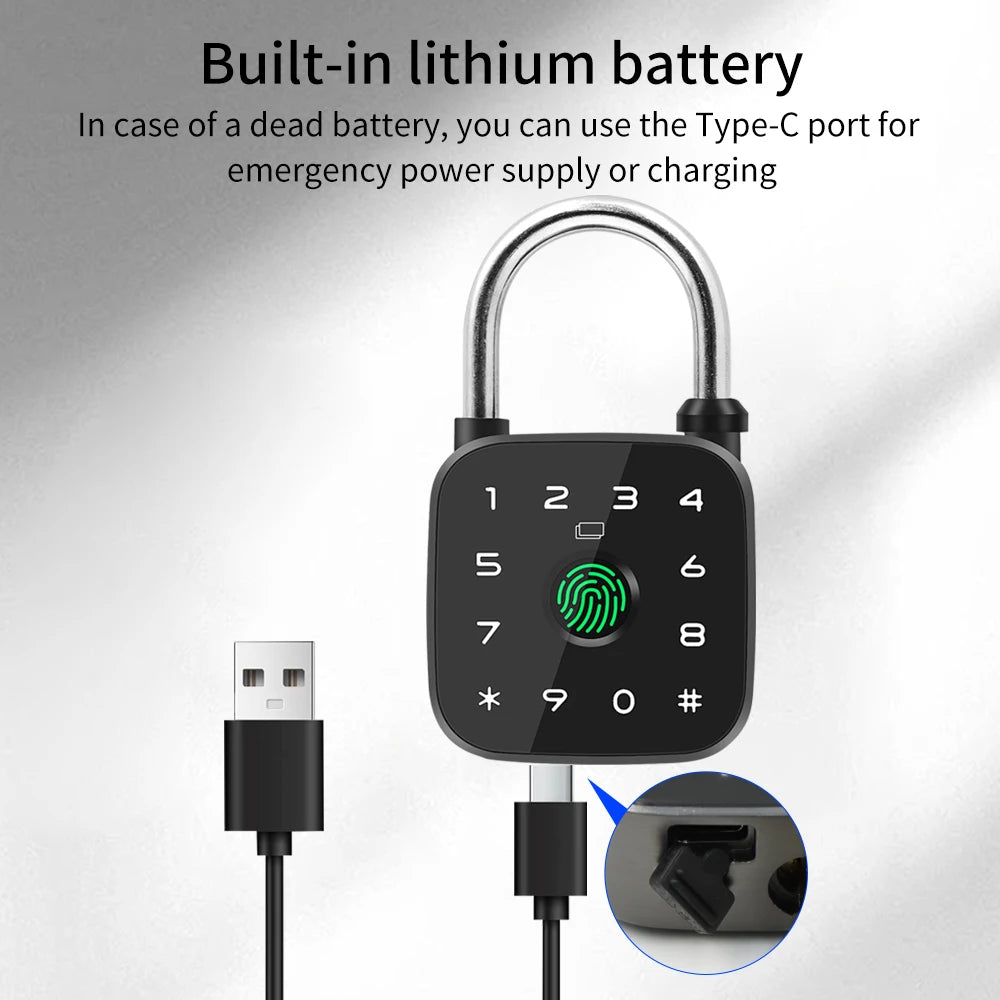 support tuya appSmart Fingerprint Padlock Password Door Lock for Dormitory Drawer Anti-theft Mini Lock RFID Card Mechanical Key Vue