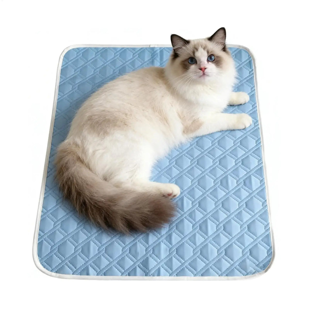 Self Cooling Pad for Dog 45x35cm Sweat Absorbent Soft Sleeping Mat for Small Medium Large Dogs Kitten Crate Carrier Travel Pads Vue
