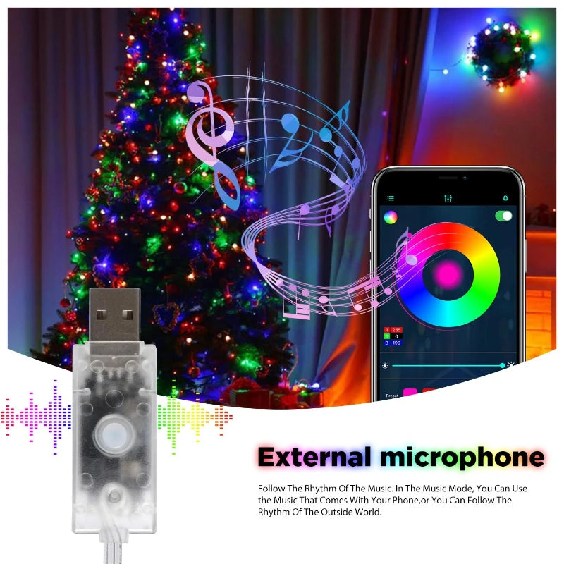 5/10/20M RGBIC USB LED Sting Light Bluetooth Music APP Programmable DIY Fairy Lights Birthday Party Garland Christmas Decor Vue