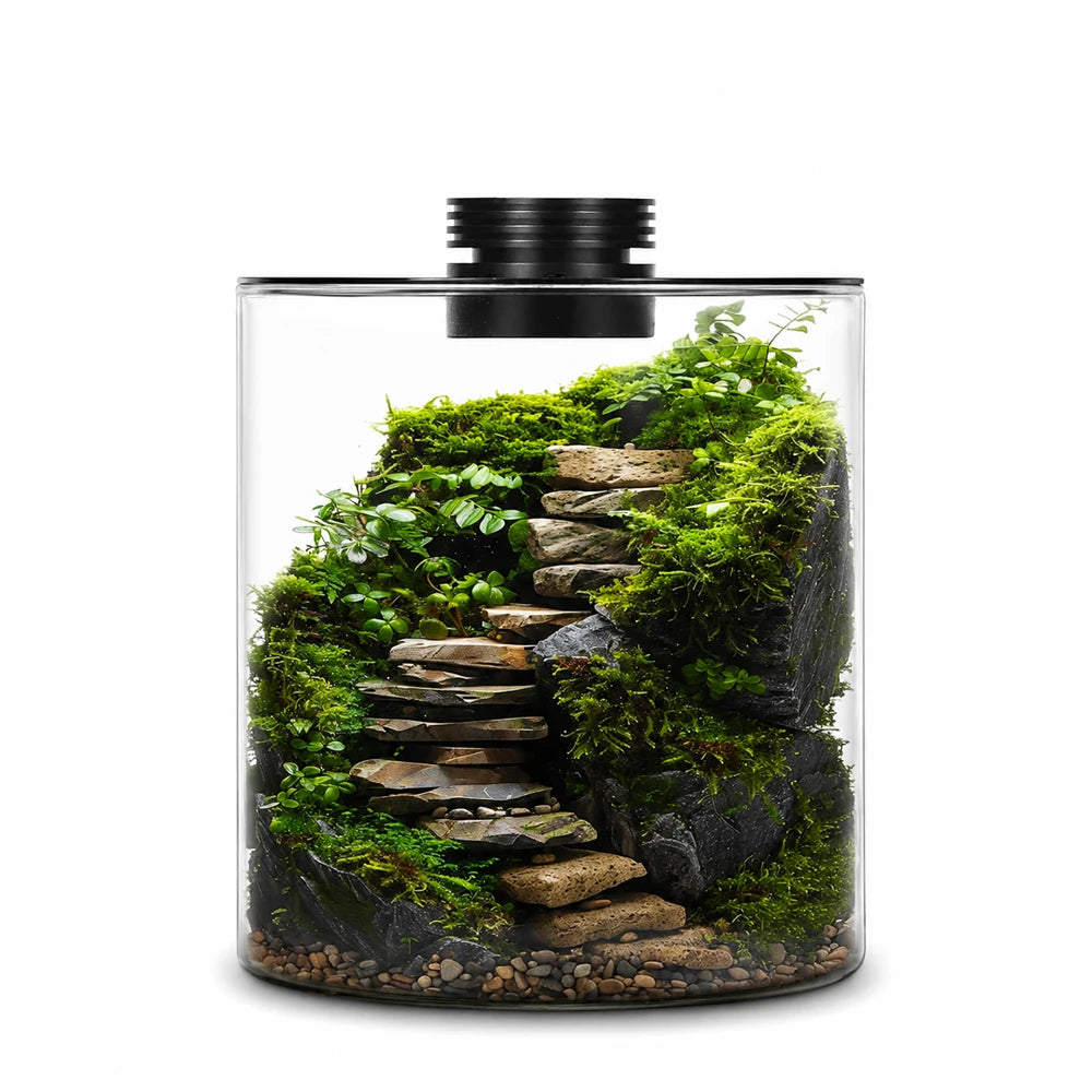 Desktop Glass Plant Terrarium with Grow Light Planter for Succulent Moss Miniature Gardening Landscape, Fish Tank Indoor Plant Vue vase and light