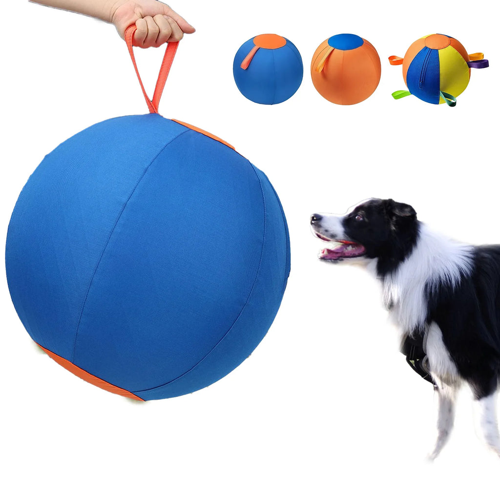 Dog Herding Ball – Tear-Resistant Inflatable Toy with Pump Inflatable Dog Toy Vue