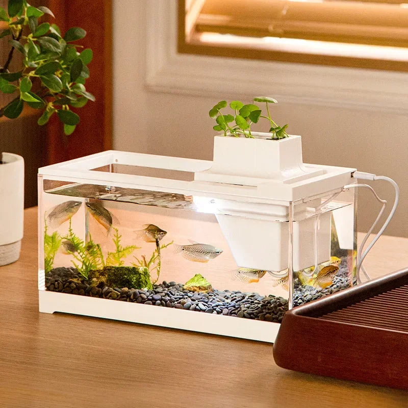 Dreamburgh Desktop Mini Aquarium Tank with LED Light & Filter Desktop Aquarium Vue