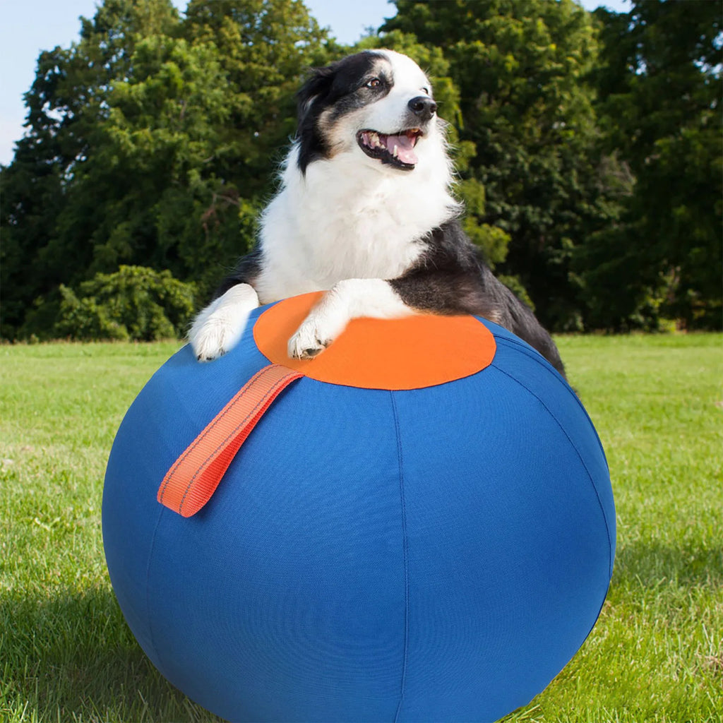 Dog Herding Ball – Tear-Resistant Inflatable Toy with Pump Inflatable Dog Toy Vue