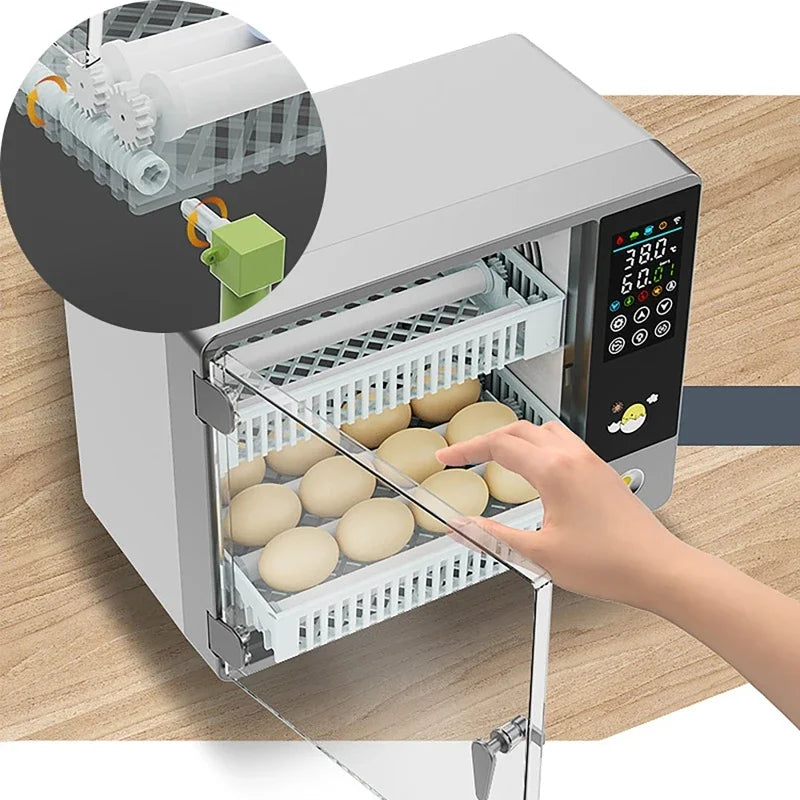 24-Egg Automatic Incubator for Chicken Quail & Bird Hatching Egg Incubator Vue