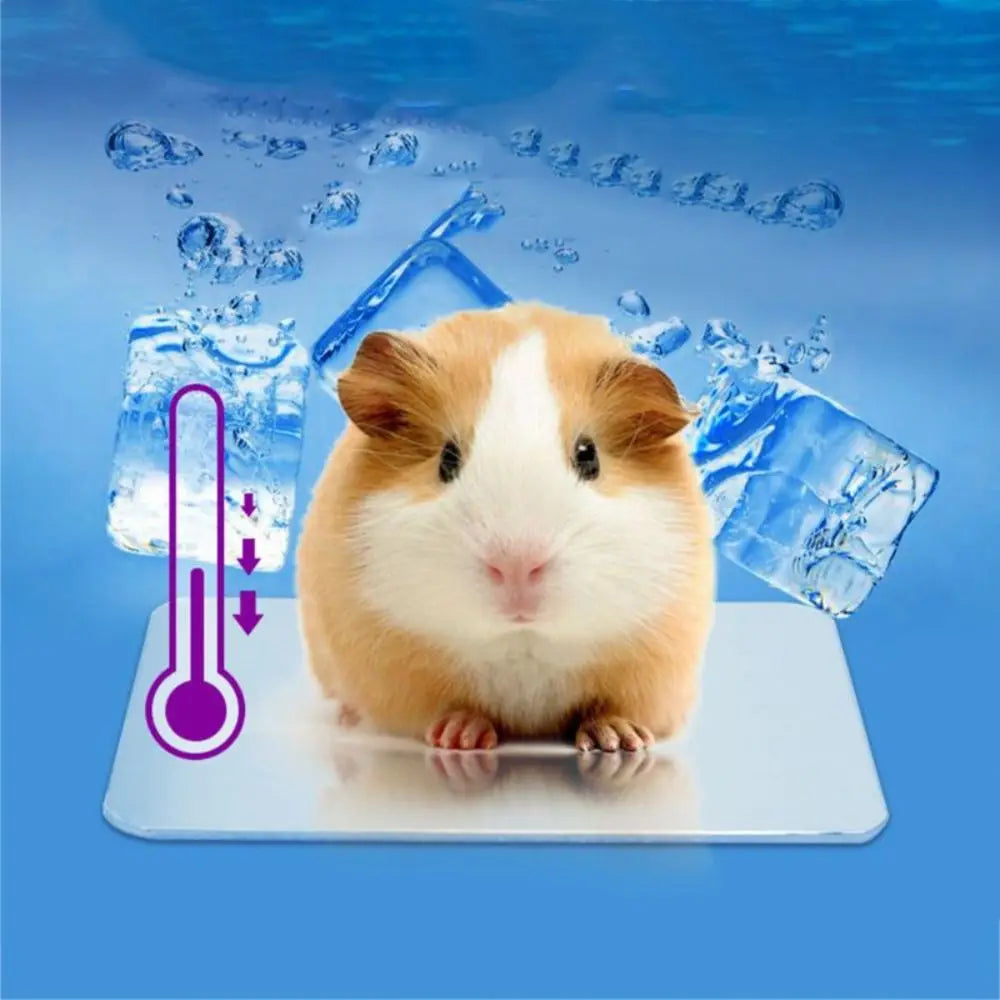 Durable Aluminium-plastic Pet Cooling Board Cool Hamster Rabbit Vue