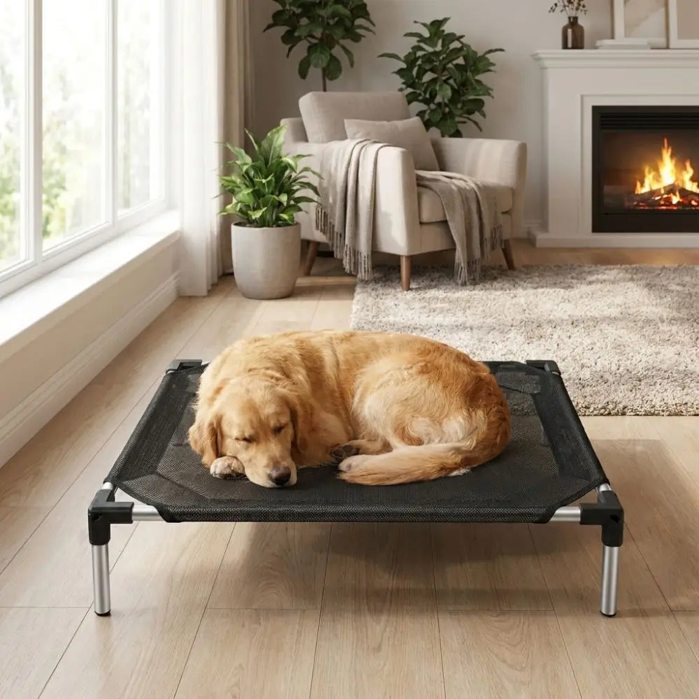 Breathable Mesh Elevated Dog Bed Waterproof Moisture-Proof Pet Cat Cot Non-Slip Chew Proof Cat Hammock Outdoor Indoor Use Vue