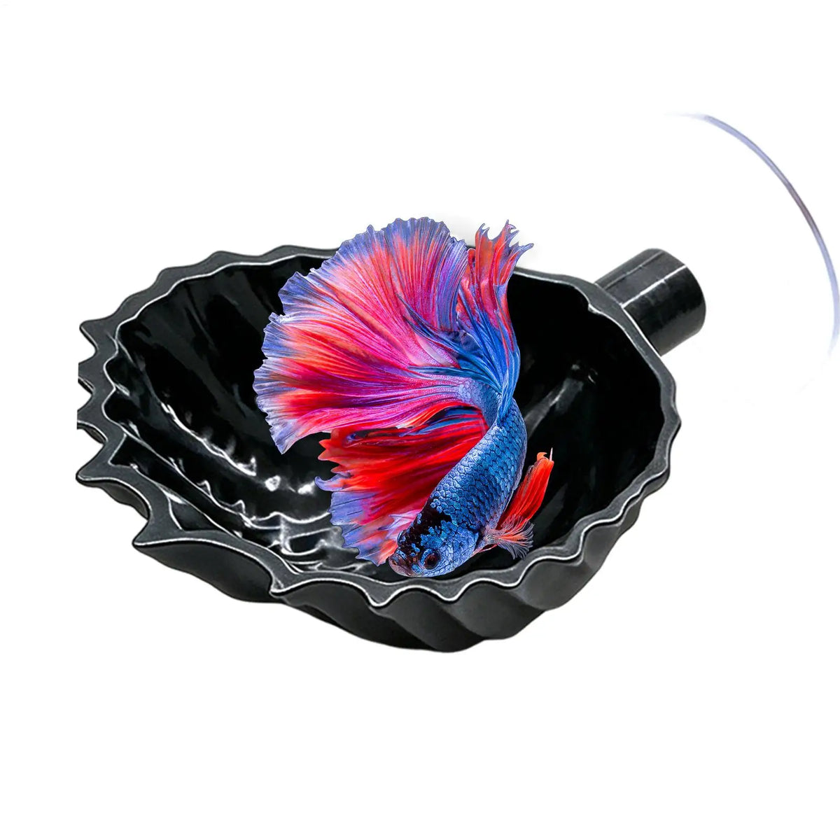 Betta Fish Hammock Floating Shell Shaped Suction Cup Pad Betta Fish Shell Bed for Shrimp Snails Frogs Goldfishes Guppy Koi Vue