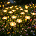 5M10LED/8M20LED Outdoor Solar Daisy String Lights, Waterproof Flower LED Ground Lamps for Courtyard Party Garden Holiday Decor Vue Warm White 1PC 8M20LED No plug