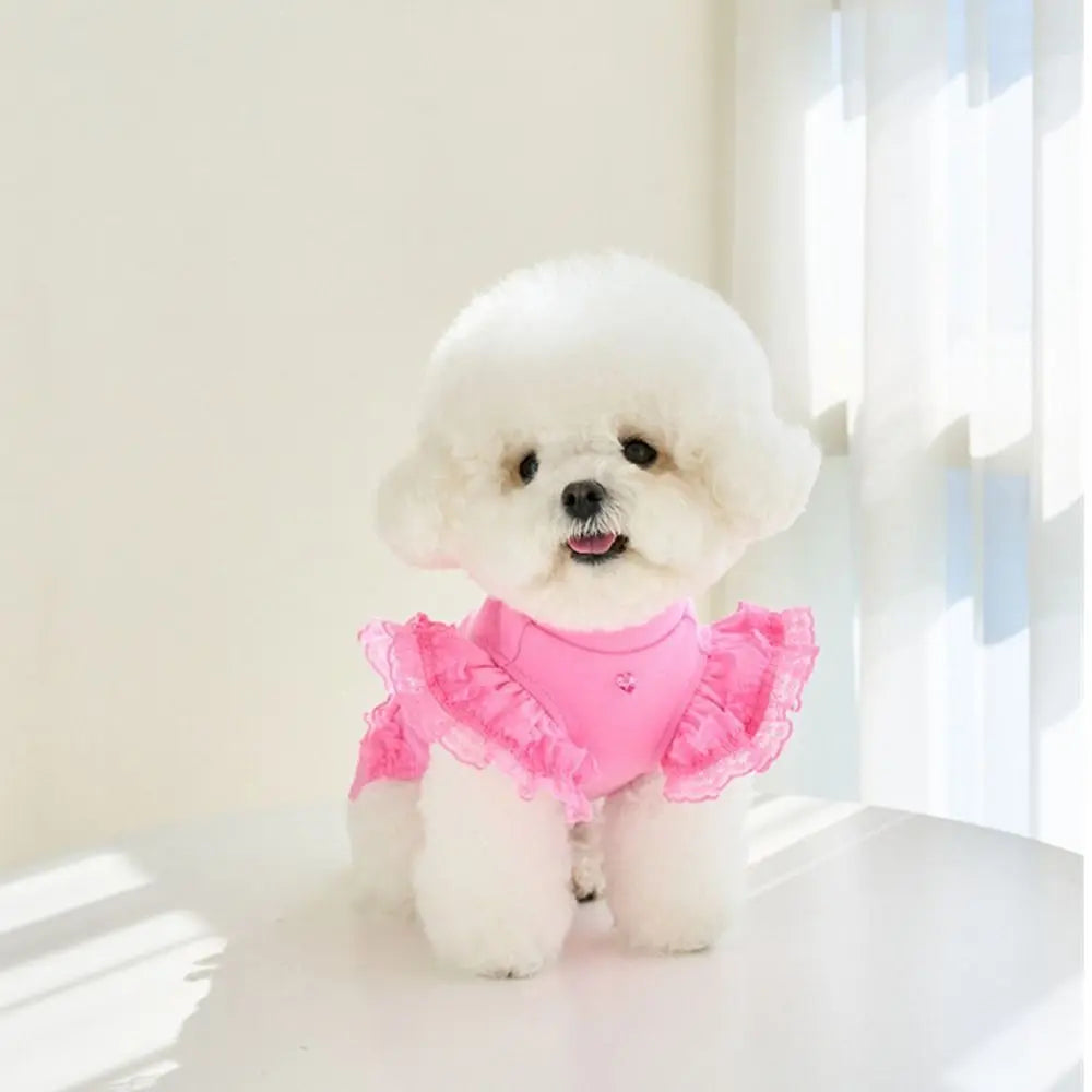 Comfortable Lace Pet Summer Vest Soft Breathable Cat Base Skirt Flying Sleeve Dog Clothes Small Animal Vue