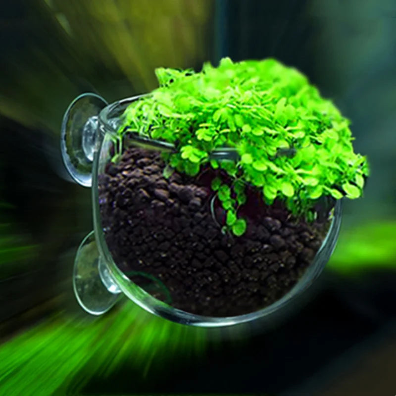 Aquarium Crystal Glass Cultivation Fish Tank Pot Water Potted Aquatic Planting Cylinder Cup Aquarium Hanging Plant decor acuario Vue