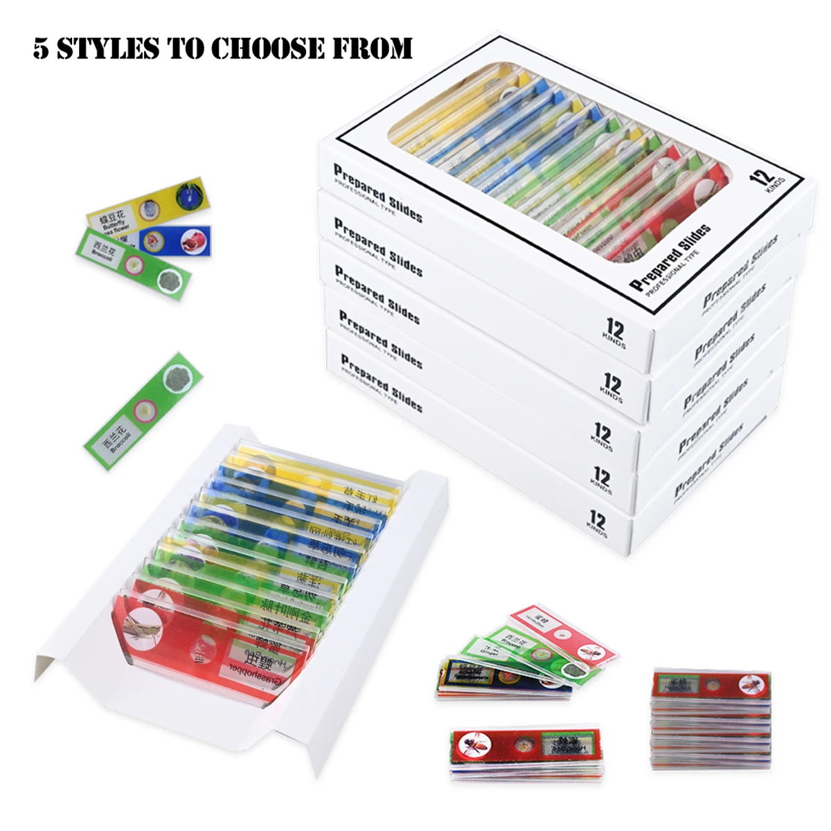 12Pcs Microscope Slides Toys, Plastic Biological Prepared Slide with Specimens Science Education for Kids Vue
