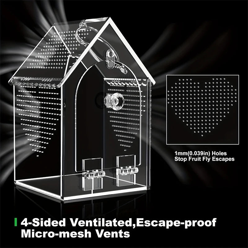 Transparent Acrylic House Insect Habitat Box Waterproof Sealed Reptile Feeding Terrarium For Kids Hobbyist Lab Science Gift Vue