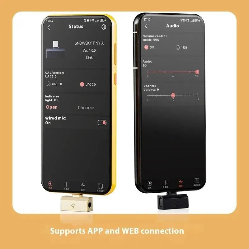 FiiO SNOWSKY Tiny A/B HiFi DAC & Headphone Amp | PCM 384kHz DSD256 Portable DAC Amplifier Vue