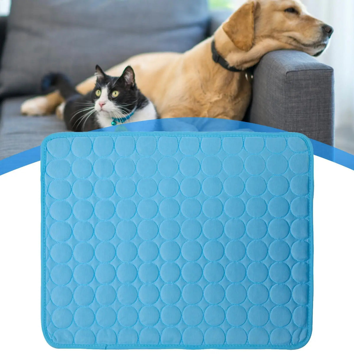 62X50cm/70X55cm Dog Cooling Pad Washable Waterproof Dog Cooling Blanket Pet Sofas For Travel Camping Offices Home Living Room Vue