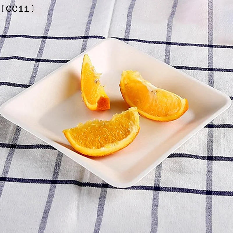 10 White Compostable Dessert Plates Snack Made Sugarcane Waste Vue
