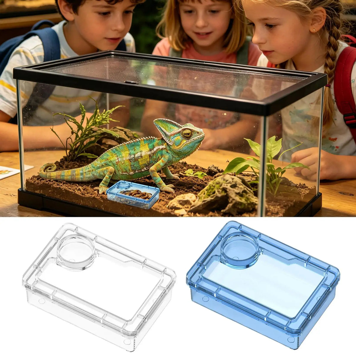 Safe Escape Proof Compartment Reptile Food Dish for Leopard Gecko Hermit Crab Frog Spider Chameleon Iguana Lizard Tarantula Vue