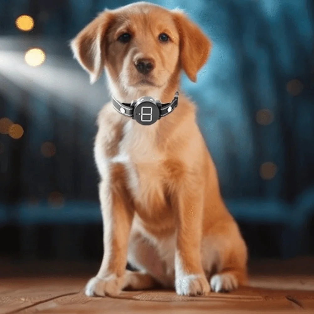 Rechargeable Smart Dog Anti Bark Device Remote Control Vibration Mode Electric Anti Bark Collar Intelligent Beep Mode Vue