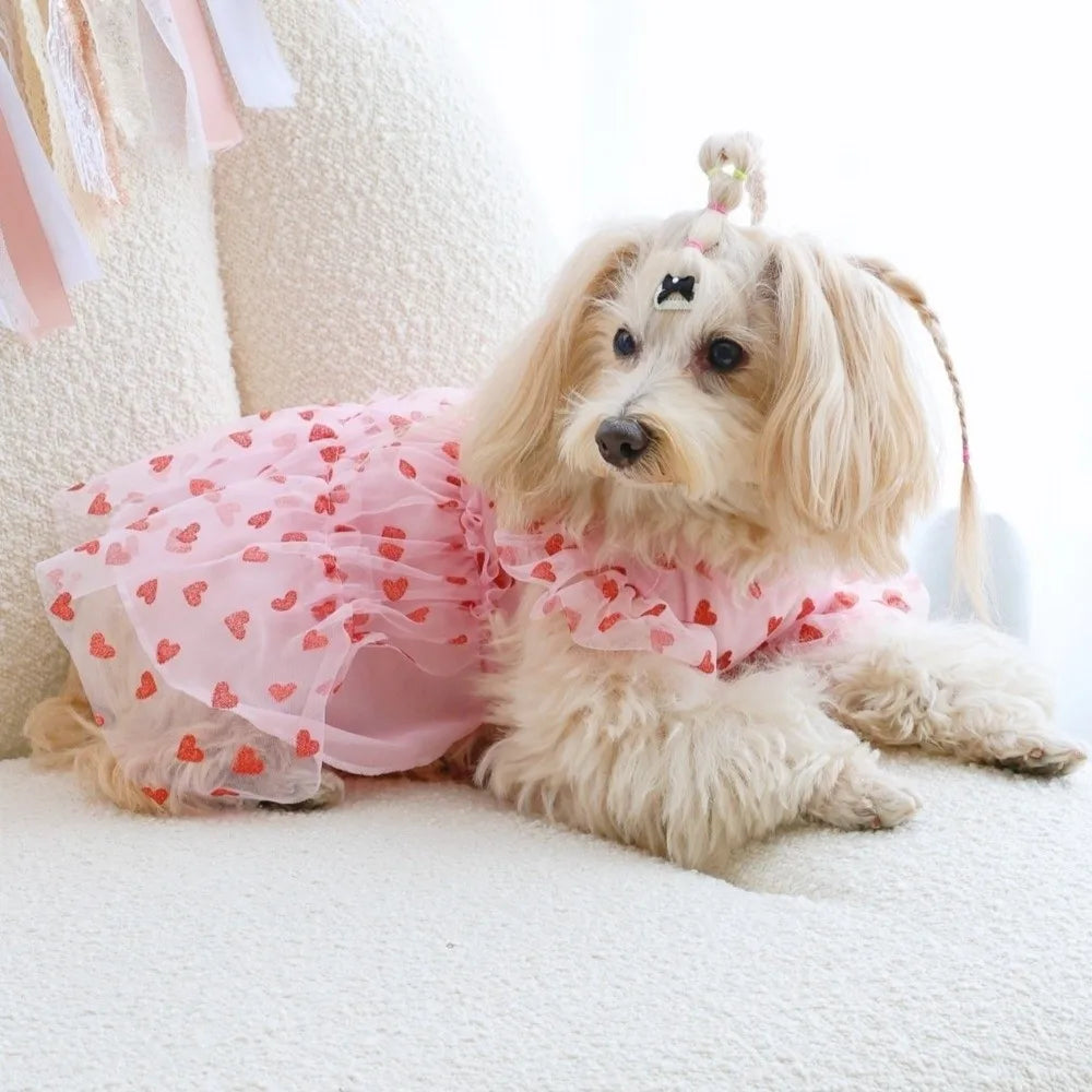 Heart Printed Dog Tulle Skirt Thin Breathable Dreamy Pet Princess Dress Soft Ruffle Trim Love Pattern Dresses Pet Photography Vue
