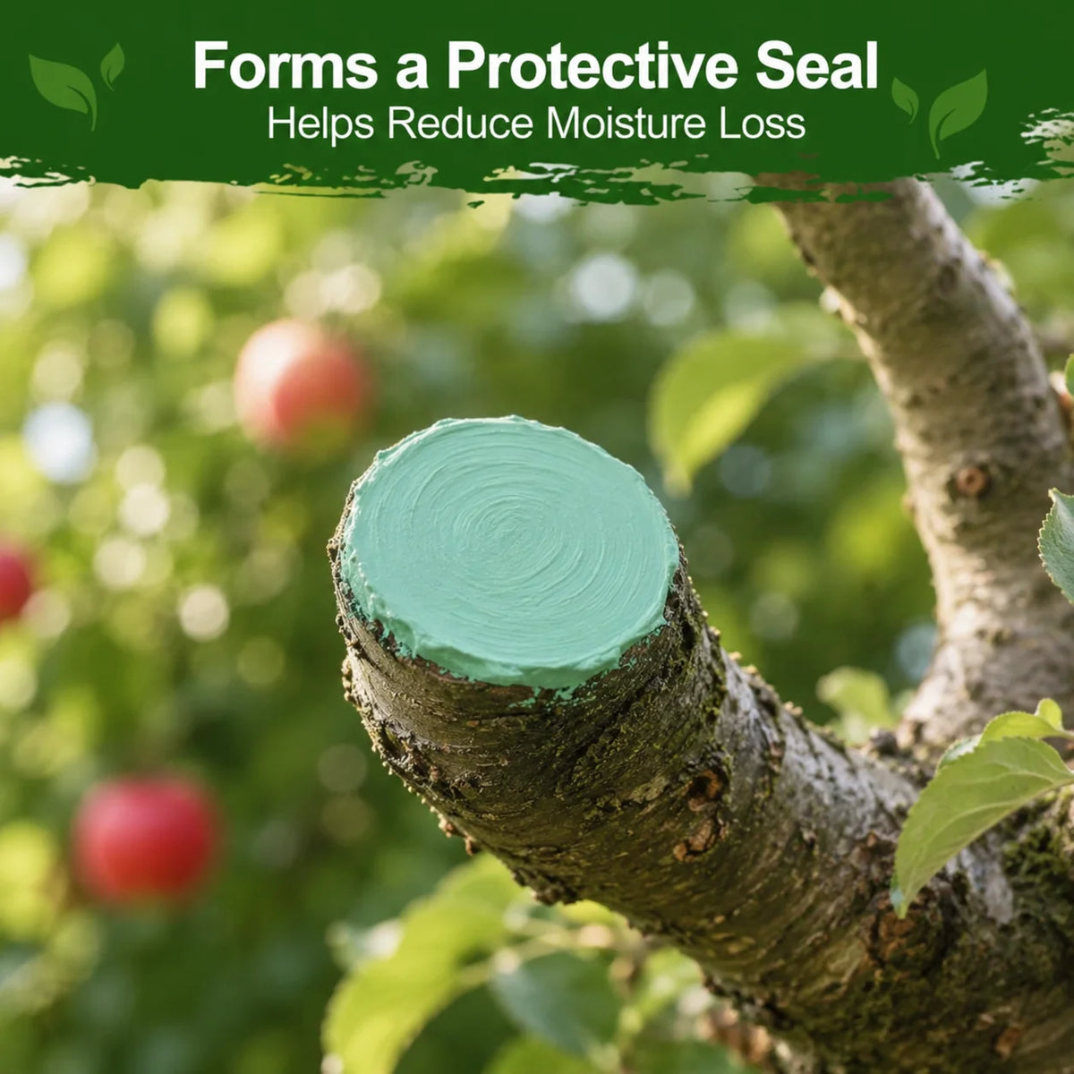 Tree Pruning Wound Dressing Kit 120g, Green Bark Sealing Paste with Applicator Brush and Gloves for Grafting and Shrub Care Vue