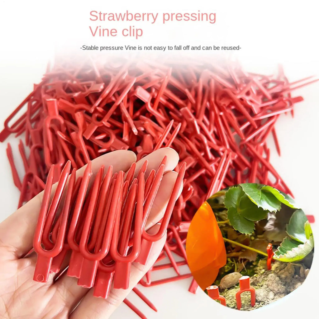 100PCS Plant Vine Fixing Pins, Reusable Garden S taples For Strawberry Watermelon Climbing Plants, Heavy Duty Securing Tool Vue