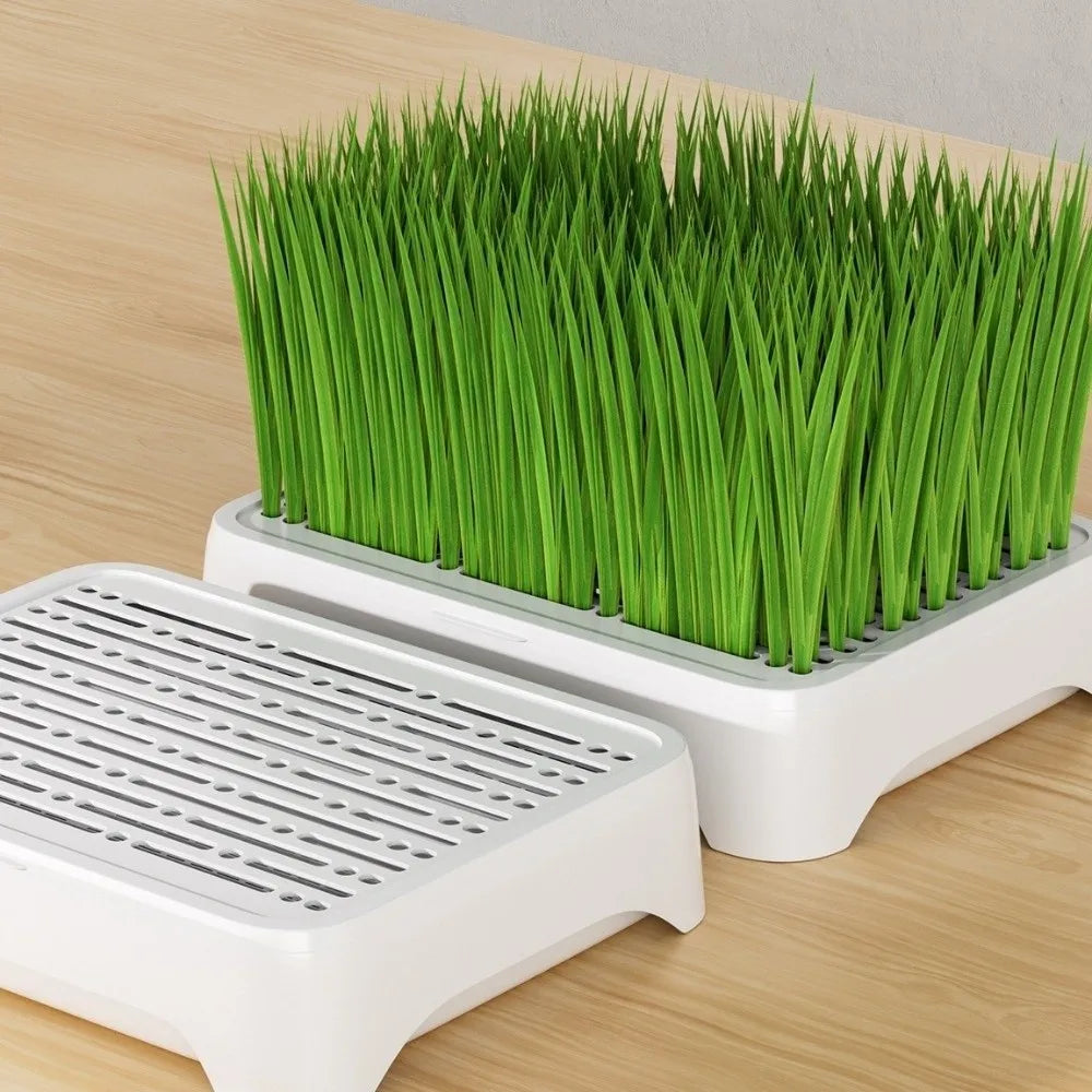 Plastic Cat Grass Planter Self-planted Tray Growth System Soil-Free Nursery Box 3 Layer Cultivation Pot Hydroponic Tray Vue