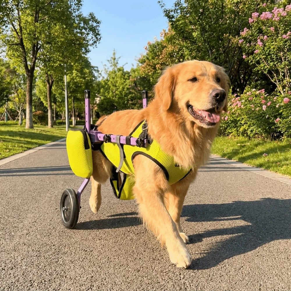 Adjustable Dog Wheelchair Hind Leg Support Breathable Cat Recovery Aid Car with Wheels Pet Hind Legs Bracket Disabled Pet Vue